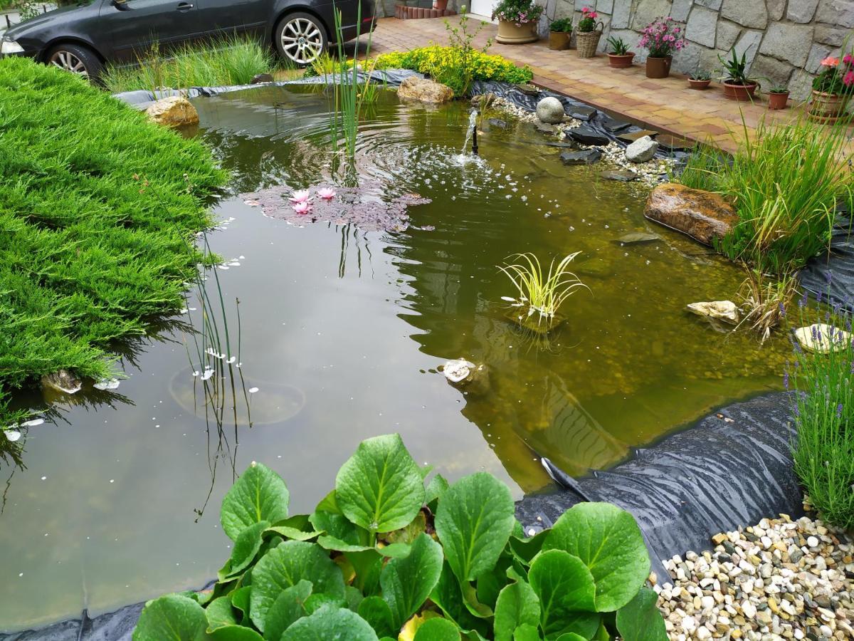 Ubytovani Iris Dolany  Luaran gambar